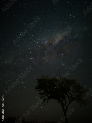 Milky Way in starry sky with tree and landscape below  timelapse sequence image 29-100 Night landscape in the mountains of Argentina - C  rdoba - Condor Copina
