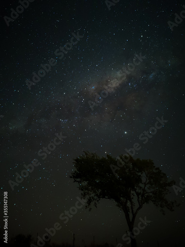 Milky Way in starry sky with tree and landscape below, timelapse sequence image 18-100 Night landscape in the mountains of Argentina - Córdoba - Condor Copina