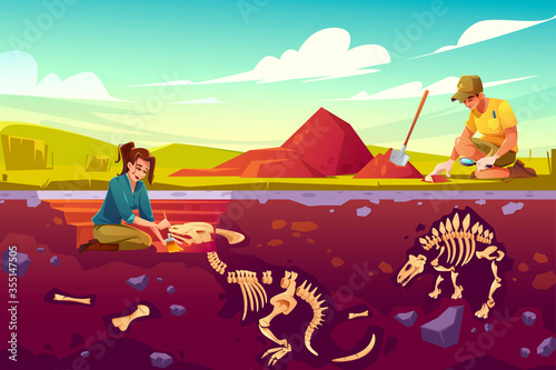 Archaeologists, paleontology scientists working on excavations digging soil layers with shovel and exploring founded artifacts, studying dinosaurs fossil skeletons bones cartoon vector illustration photo