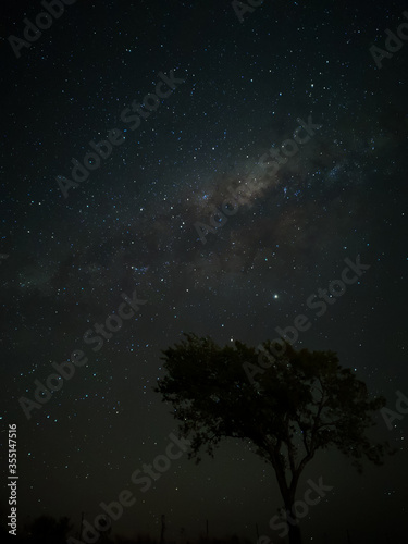 Milky Way in starry sky with tree and landscape below, timelapse sequence image 12-100 Night landscape in the mountains of Argentina - Córdoba - Condor Copina