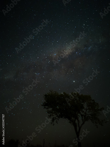 Milky Way in starry sky with tree and landscape below, timelapse sequence image 5-100 Night landscape in the mountains of Argentina - Córdoba - Condor Copina