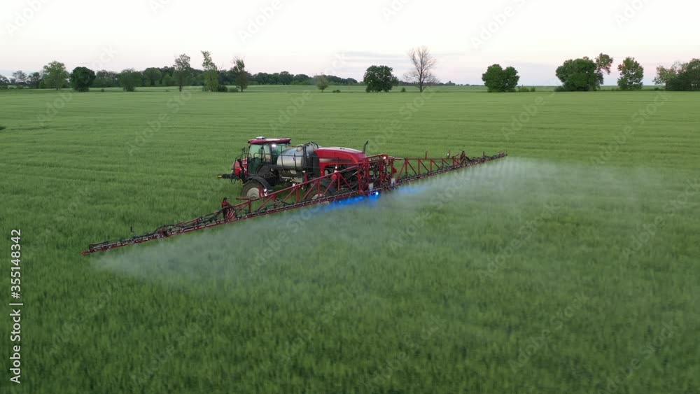 Aerial view of a tractor that irrigates the field with a young, fresh potato at sunset. The process of spraying field growths from insects and loaders. Aerial view of a tractor that irrigates the field with a young, fresh potato at sunset. The process of spraying field growths from insects and loaders.