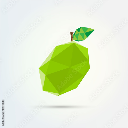 3D low polygon lime fruit design 
Eps 10 stock vector illustration 