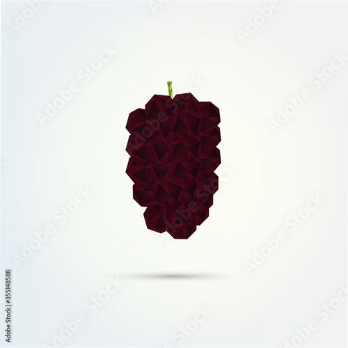3D low polygon mulberry fruit design 
Eps 10 stock vector illustration 