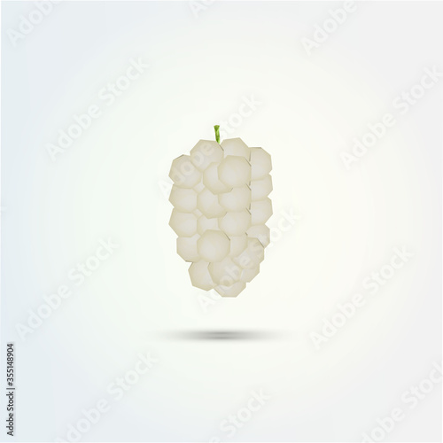 3D low polygon white mulberry fruit design 
Eps 10 stock vector illustration 