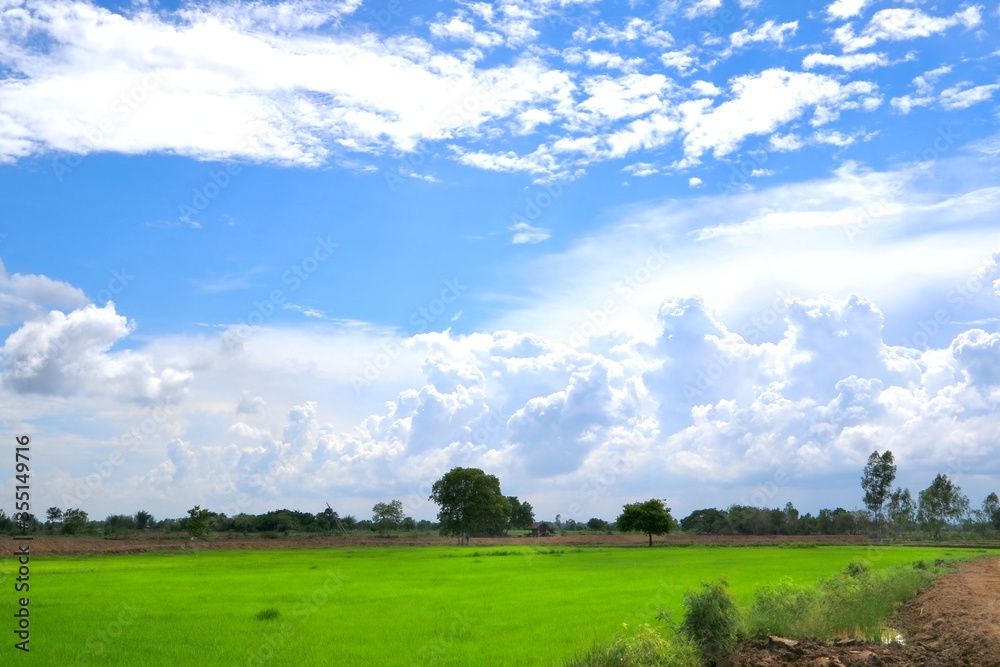 green field and blue sky