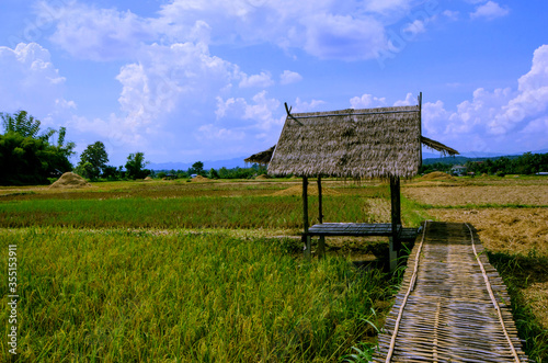 Grass pavilion with bamboo bridge in harvesting ice filed photo