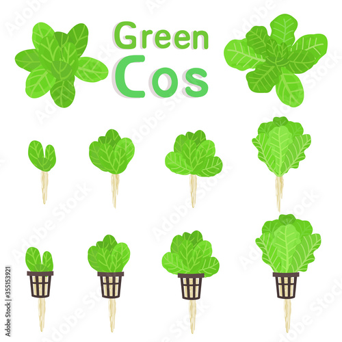 Green cos 