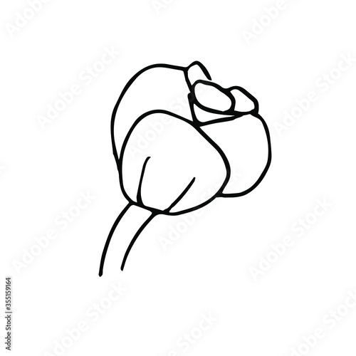 Single hand drawn flower bud. Doodle vector illustration. Floristic element for greeting cards, posters, stickers and seasonal design. Isolated on white background