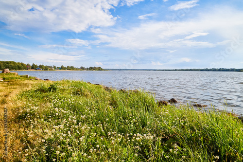 View of the lake water from the coast with trees and greenery  the horizon and blue sky with white clouds
