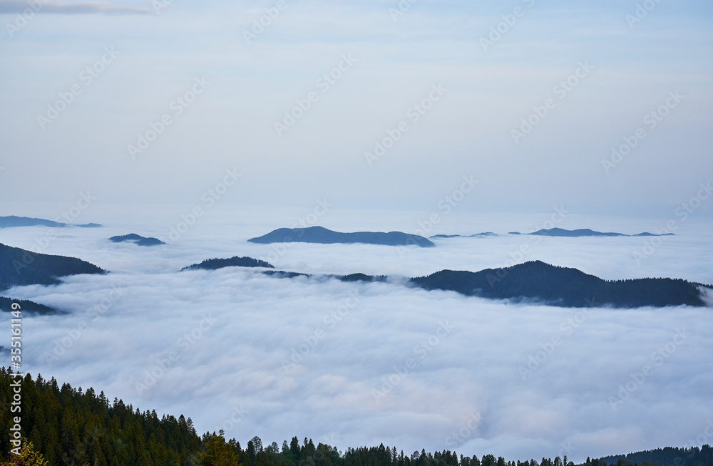 Obraz premium Sea of clouds. Landscape photo was taken from Sal Plateau, Kackar mountains, highlands of Black Sea / Karadeniz region of Turkey. 
