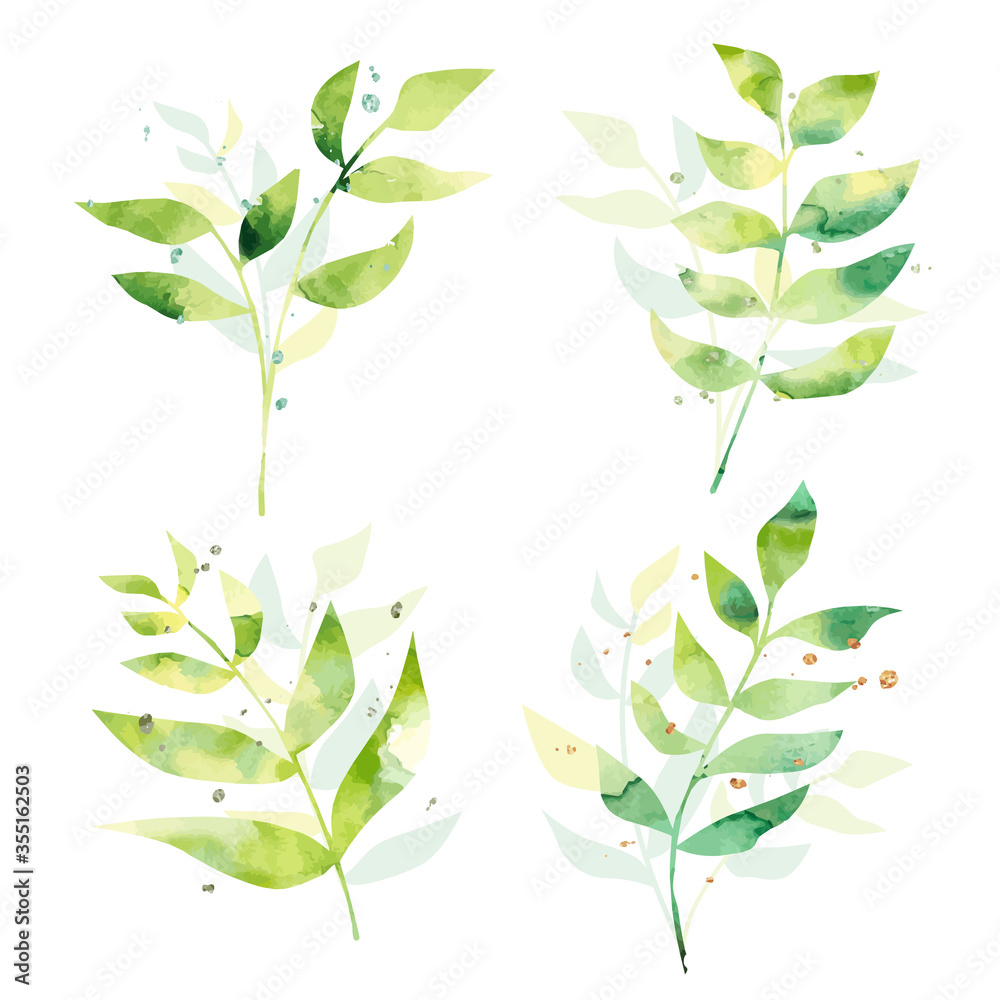 Fototapeta Watercolor textured leaves. Elegant plants for design