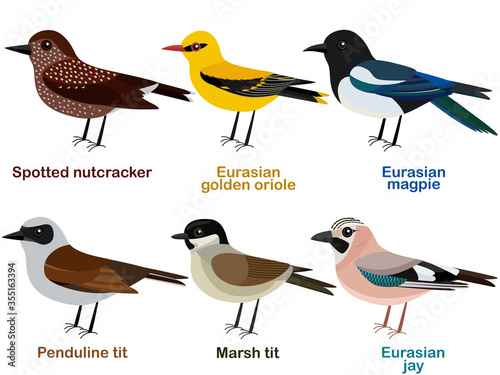 Vector illustration set of cute European bird cartoons - Spotted nutcracker, Eurasian golden oriole, Marsh tit, Eurasian magpie, Penduline tit, Eurasian jay