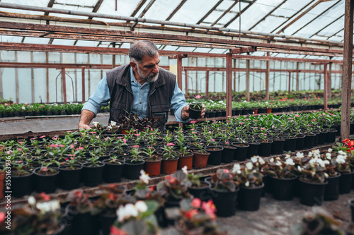 man working in flower nursery. small family business concept