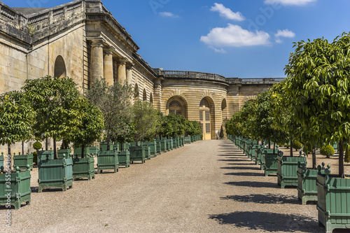 Beautiful Orangerie Parterre (1684 - 1686) in Versailles palace. It features 1,055 trees, including palm trees, oleanders, pomegranate and orange trees. Versailles, Paris, France.