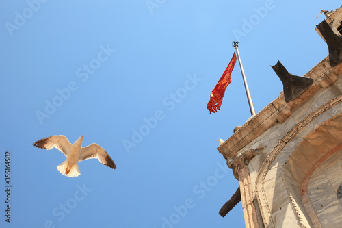 A seagull near the top of Saint Mark's Basilica at St. Mark's Square in Venice, Italy