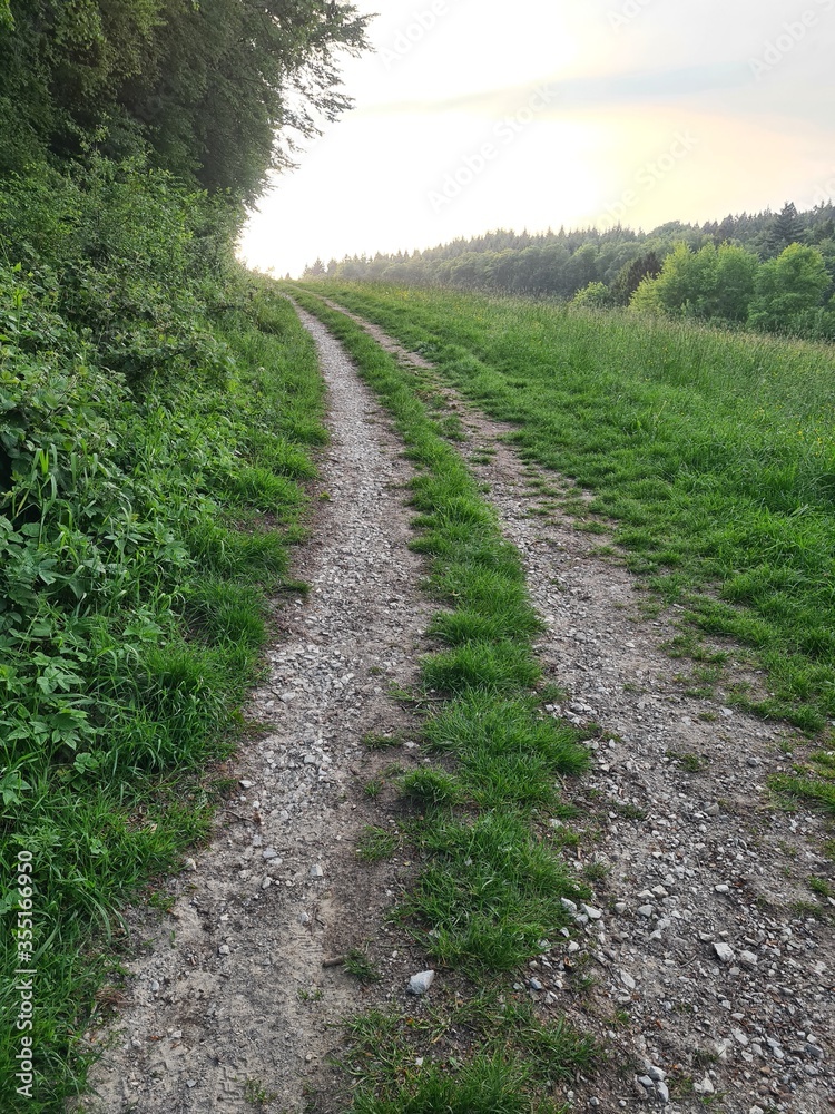 path in the field