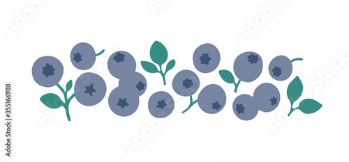 Photographie Cute hand drawn blueberries with leaves isolated on white background