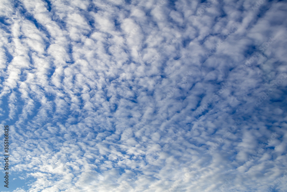 Blue sky and white cloud background.Altocumulus soft white clouds against blue sky. Blue sky and white cloud background.Altocumulus soft white clouds against blue sky.