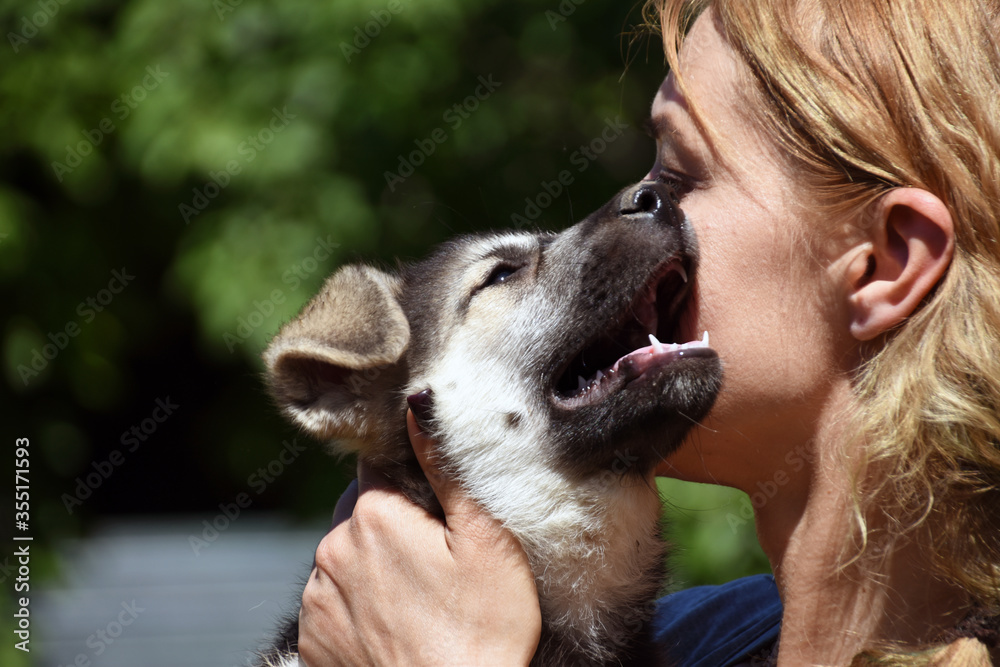 the puppy presses his cheek against the cheek of the mistress. the puppy presses his cheek against the cheek of the mistress.