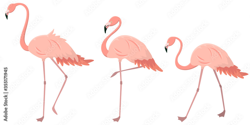 Obraz premium Set of flamingos in different poses. Pink birds in cartoon style.