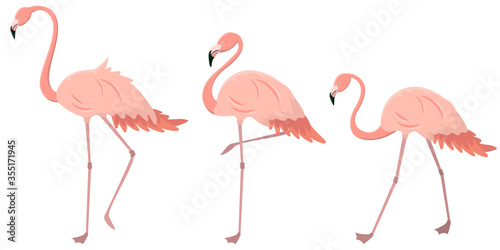 Set of flamingos in different poses. Pink birds in cartoon style. © KurArt