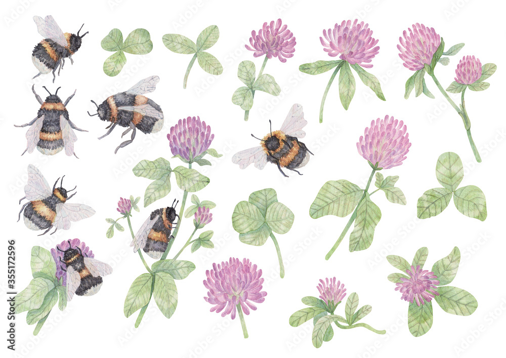 A large set of hand-drawn watercolor illustrations on the theme of summer. Bumblebees, clover flowers and leaves for design, stickers, scrapbooking, printing, postcards and other projects.