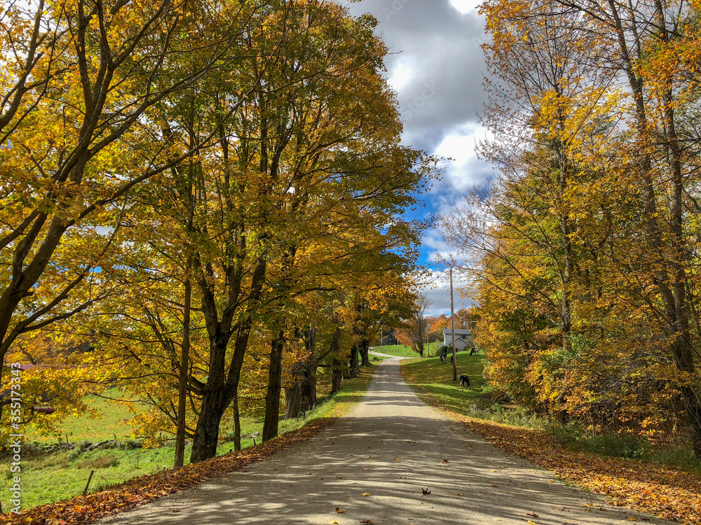 Naklejka premium autumn in the park