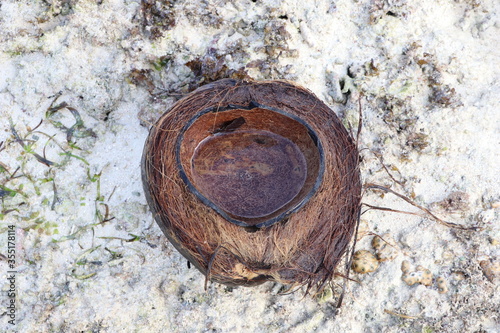 Half a coconut filled with sea water lies on the seashore after low tide. Coconut husk.