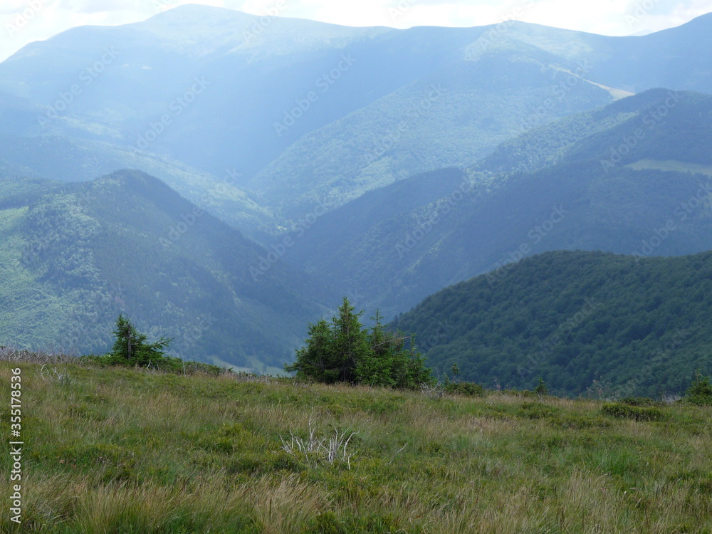 A beautiful mountain hills in transcarpathian region.