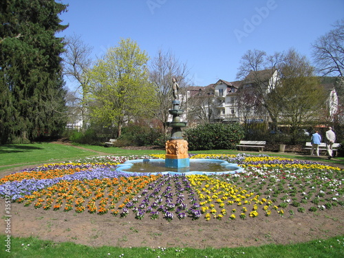 Kurpark Bad Salzschlirf photo