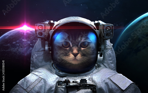 Fototapeta Naklejka Na Ścianę i Meble -  Cat astronaut in space