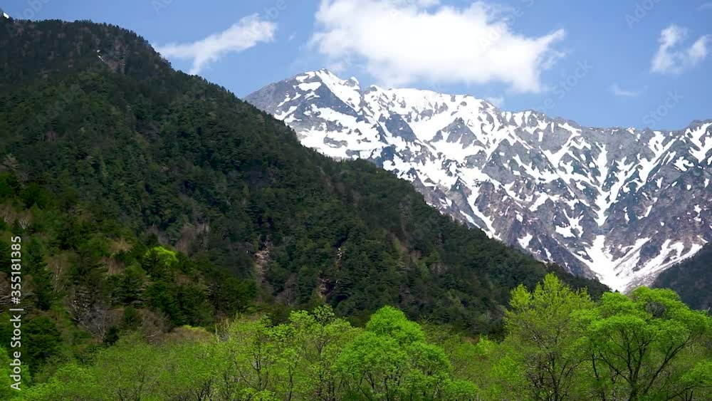 新緑の上高地と北アルプス 新緑の上高地と北アルプス