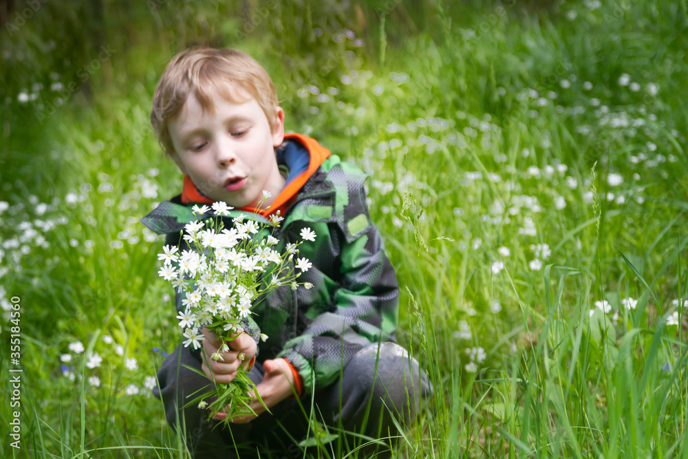 A European boy is holding a bouquet of white forest flowers. A European boy is holding a bouquet of white forest flowers.