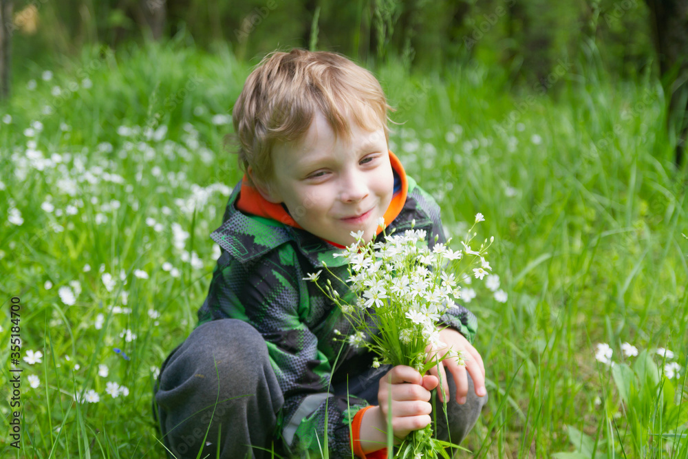A European boy is holding a bouquet of white forest flowers. The child loves nature and admires beauty. A European boy is holding a bouquet of white forest flowers. The child loves nature and admires beauty.