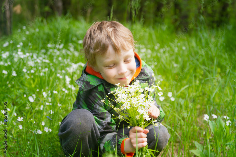 A European boy is holding a bouquet of white forest flowers. The child loves nature and admires beauty. A European boy is holding a bouquet of white forest flowers. The child loves nature and admires beauty.