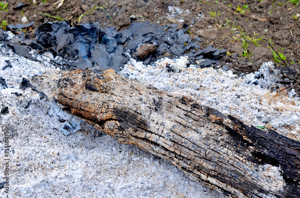 Ashes from the fire, a half-burned piece of log with a charred edge close-up.