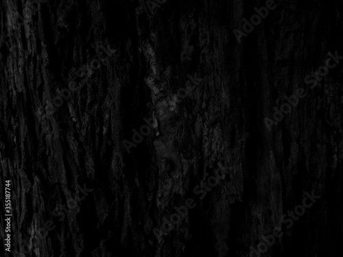 Dark wood backgroud. Black nature. Can be use for your design, advertising, backdrop, product display or montage. copy space