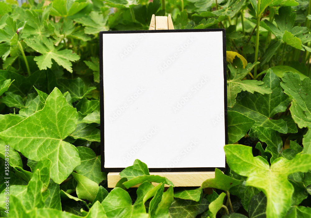 Mock up blank canvas on wooden easel in a green ivy garden, empty poster, banner, board