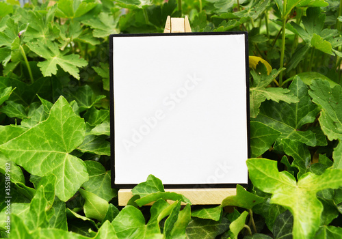 Mock up blank canvas on wooden easel in a green ivy garden, empty poster, banner, board