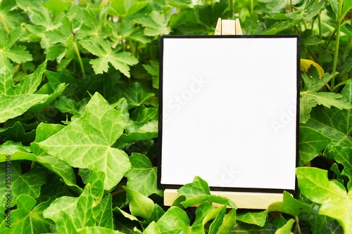 Mock up blank canvas on wooden easel in a green ivy garden, empty poster, banner, board