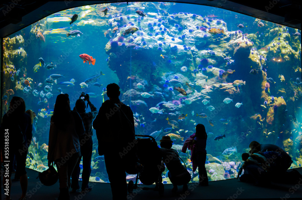 Monterey Bay Aquarium (Monterey, California)