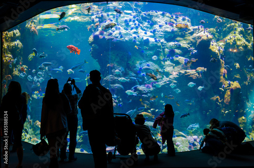 Silhouettes of Visitors in Monterey Bay Aquarium, California, USA