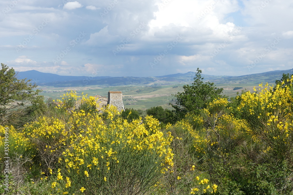 Along Via Francigena, Tuscany