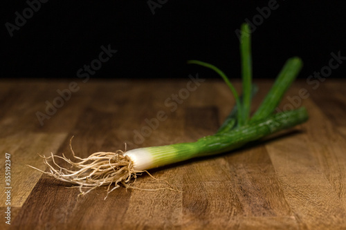 leek on top of wooden table