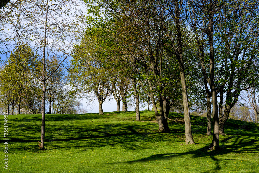 Rolling grassy hill and trees in Battlefields Park with a view overlooking Quebec, Canada.