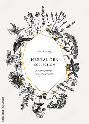 Vintage medicinal herbs card or invitation design. Hand-drawn flowers, weeds, and meadows illustrations. Summer plants template with golden foil borders. Herbs outlines