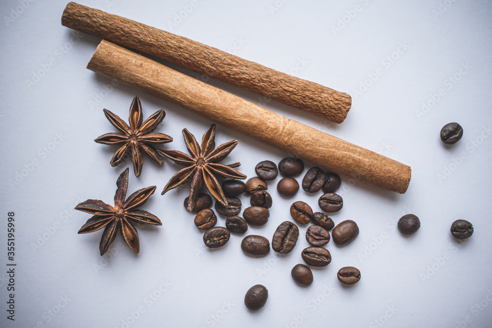 cinnamon sticks and anise on a white background