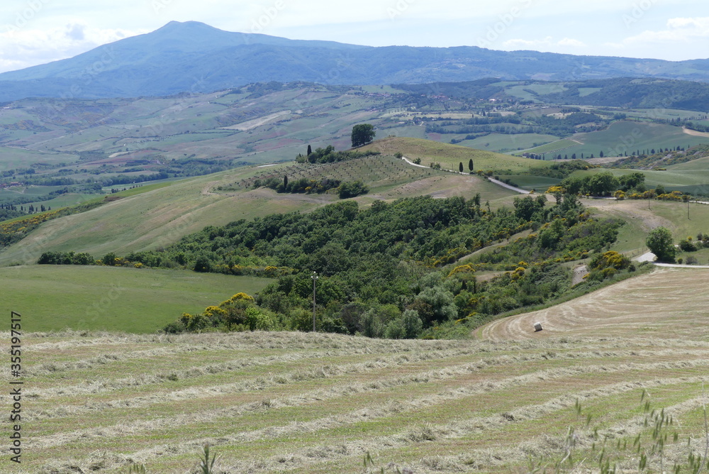 Landscape of Val D'Orcia, Tuscany