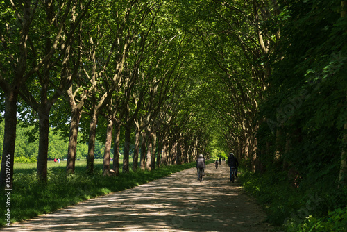 Two senior men cycling in Vincennes forest of Paris. Back view. Lockdown restrictions easing, deconfinement start in France. Elderly wellbeing, healthy lifestyle, eco transport concept. photo